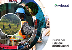 WBCSD CEO Guide to Human Rights ONLINE ITA